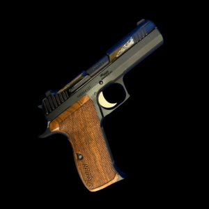 Sig Sauer P226 Carry Custom Works