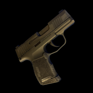 P365 Optic Ready